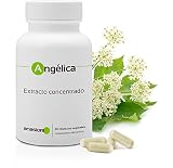 Análisis y comparativa de los mejores productos de **Ángelica sinesis** para sushi y accesorios