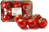 **Análisis y comparativa: ¿Cómo elegir el mejor “oh tomate” para tus recetas de sushi y accesorios?**