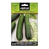 Semillas Batlle Pepino MARKETMORE 70 1/2 largo