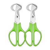 Hotype Tijeras de Acero Inoxidable para Huevos de Codorniz, 2 Piezas