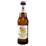 Chàng Cerveza: análisis y comparativa de los mejores productos para sushi y accesorios compatibles