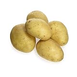 Comparativa de Patatas Chinas Blancas: análisis y recomendación para amantes del sushi y sus accesorios