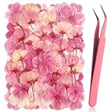 50 Flores de Cerezo Secas y Prensadas(Sakura), 4 Variedades Rosas Naturales Mezcladas, Flores 100% Naturales para Manualidades con Resina, Jabones, Velas, Scrapbooking y Decoracin de Fundas de Mvil
