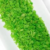 Arroz verde vietnamita en el sushi: análisis y comparativa de los mejores productos y accesorios