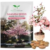 Magic of Nature: Semillas de Cerezo Japonés (10 Uds) Bonsái - Sakura Rosa | Sueño de flores para el jardín - Ideal para cultivar un árbol perenne