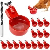 Comparativa de Productos para Sushi: Pollo con Setas y los Mejores Accesorios para Prepararlo