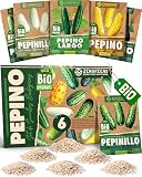 ZenGreens® Set de Semillas de Pepino eco - 6 variedades antiguas | para ensaladas & snacks, refrescante & crujiente, idea de regalo para jardineros